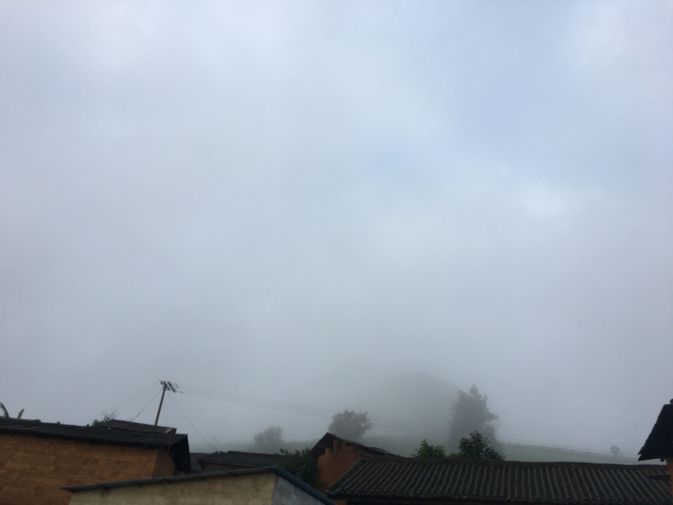 云南大山悬崖野蜂蜜,云南红河绿春大黑山野生蜂蜜