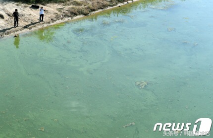 韩国污染最新消息,韩国雾霾治理最新消息