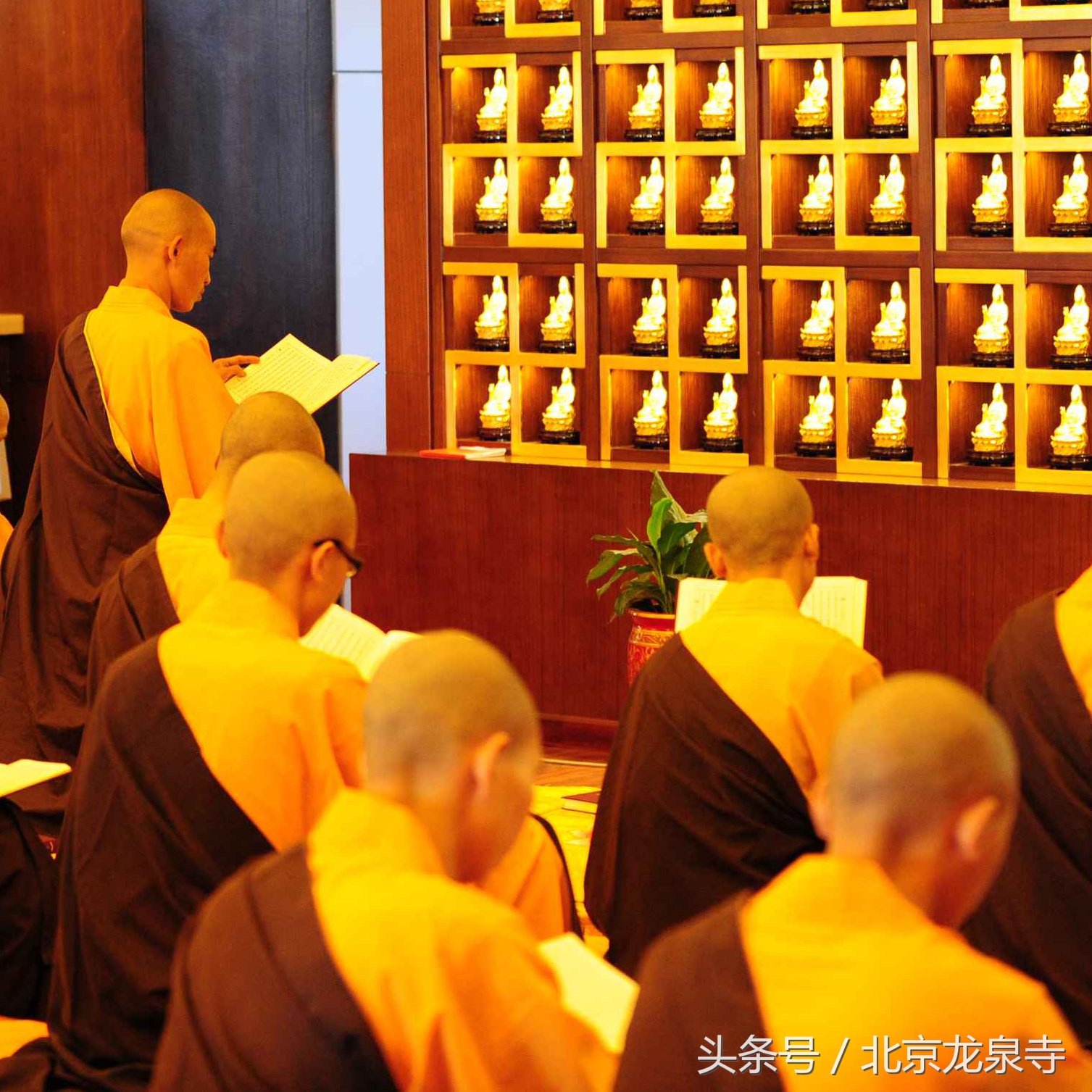 佛法三皈依内容,佛法的最高境界不是每个人都皈依