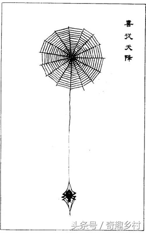 怎么判断蜘蛛有没有毒蜘蛛,什么样的算是喜蛛