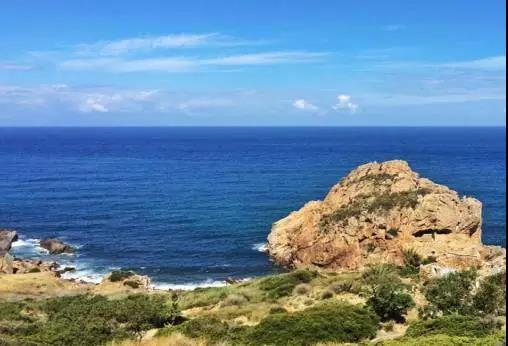 喵星人｜铲屎大大，发现一个超适合撸猫的地方……