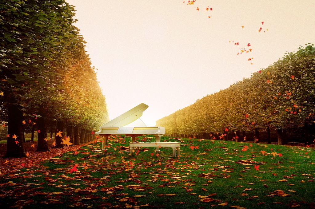 捡到一片落叶写上秋的思绪,拾起一片落叶便将秋天捧在手中