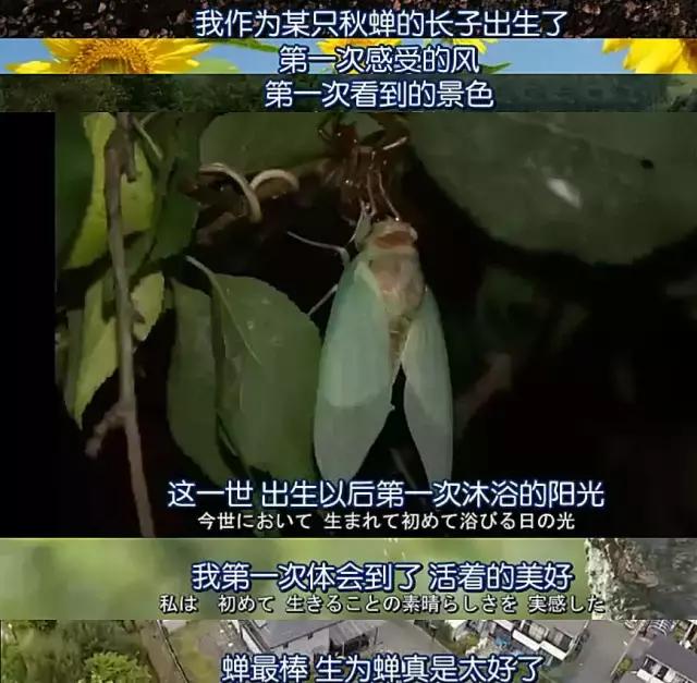 又到了熊生的十字路口，来一场cosplay吧~