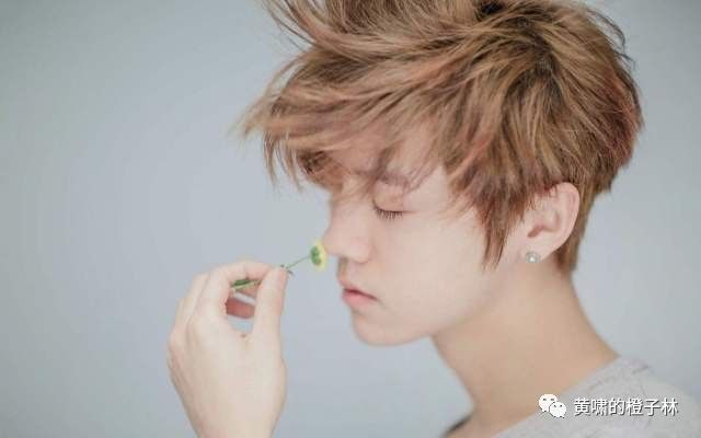 鹿晗公布恋情过后掉了多少粉,鹿晗公开恋情前有什么征兆吗