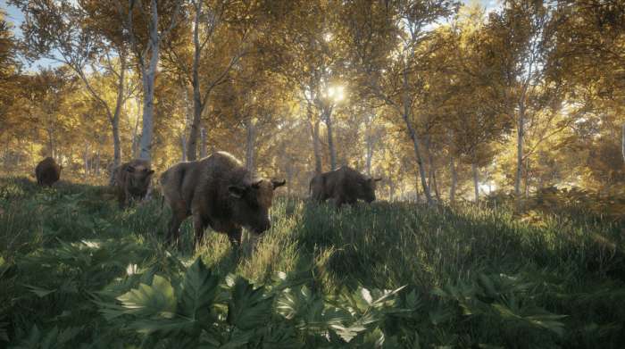 《猎人:野性的呼唤》开局生存指南，这不是一款找鹿的游戏