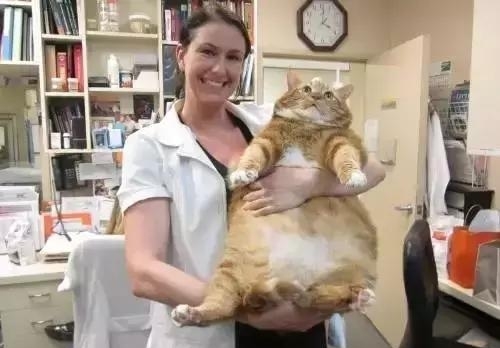 瀵圭尗鐨勮瑙ｅお娣变簡,甯︿綘鍏ㄩ潰浜嗚В姗樼尗