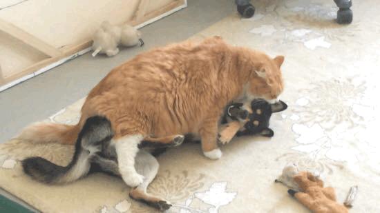 瀵圭尗鐨勮瑙ｅお娣变簡,甯︿綘鍏ㄩ潰浜嗚В姗樼尗