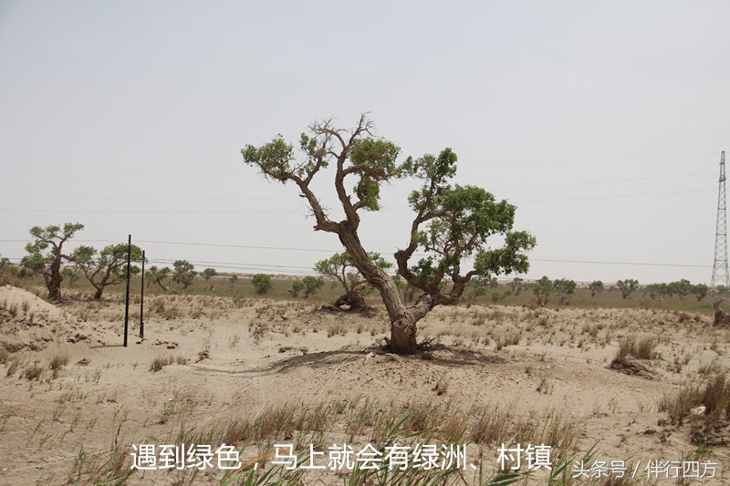 西行纪骑行视频,西行纪40到45