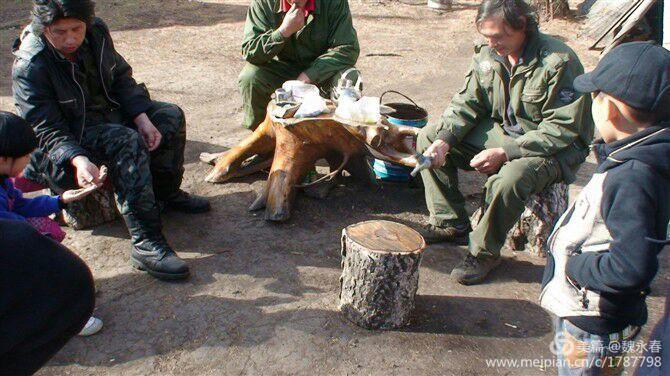 内蒙古草原旅游度假村,内蒙古敖鲁古雅景区