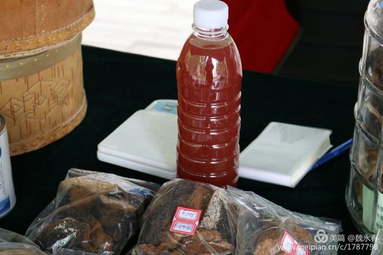 内蒙古草原旅游度假村,内蒙古敖鲁古雅景区