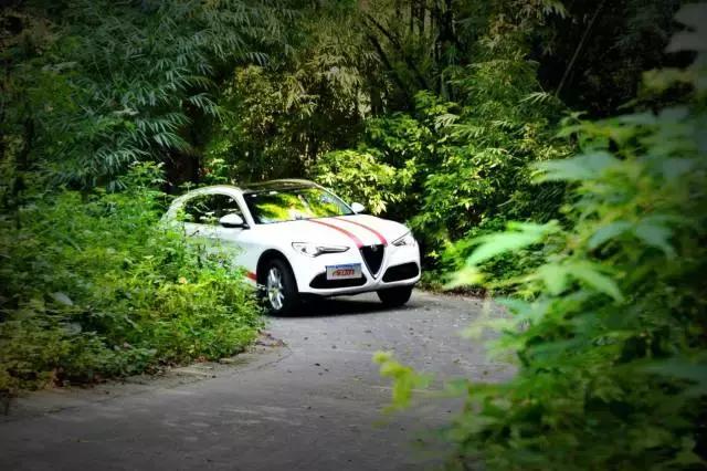 阿尔法罗密欧stelvioti和veloce区别,试驾阿尔法罗密欧stelvio