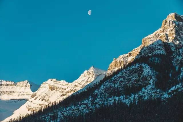 荒野猎人小李子和土著人,荒野猎人小李子救印第安女人