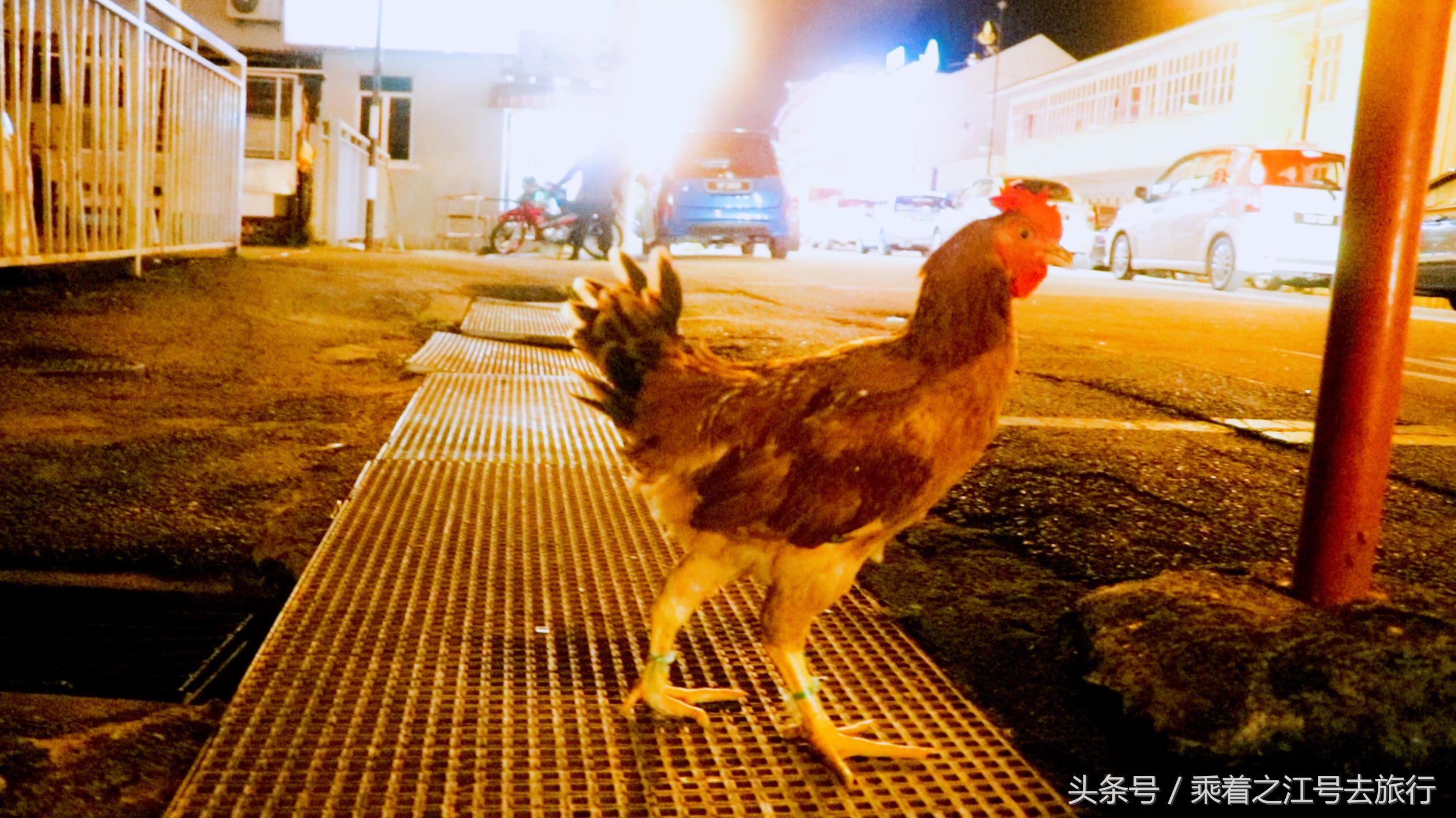 「原创」之江号No.6马六甲，扒一扒“鸡饭粒”的前世今生