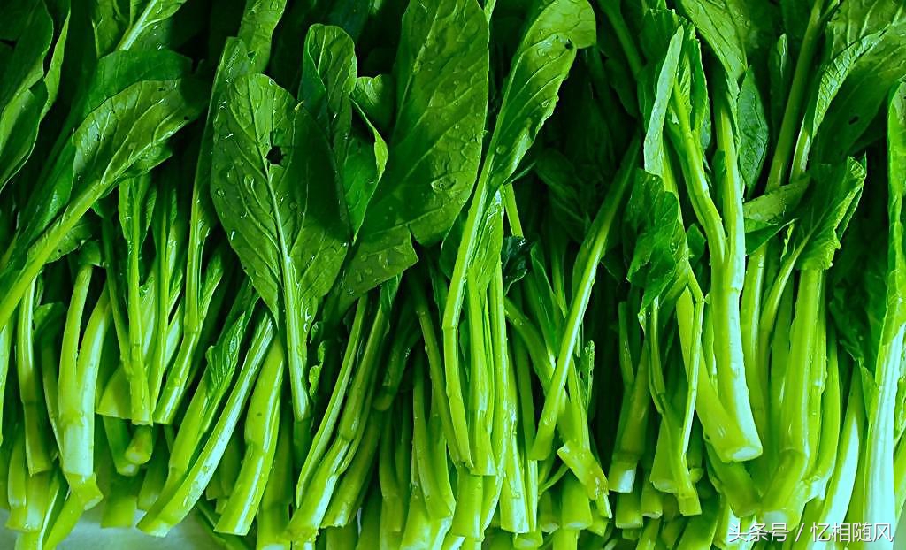 油菜加什么祛斑效果好,油菜对皮肤好吗