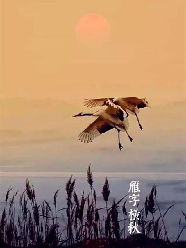 33首名作，尽现大唐荣耀289年