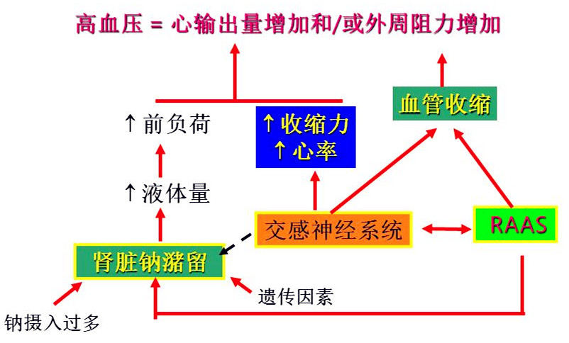 洛尔类降压药心率过缓,洛尔类降压药适合哪些高血压患者
