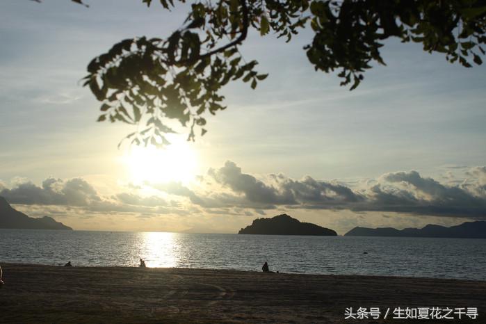 去兰卡威红树林,去兰卡威怎么玩