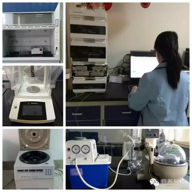 营养元素检测,检测蔬菜中常见的维生素c实验