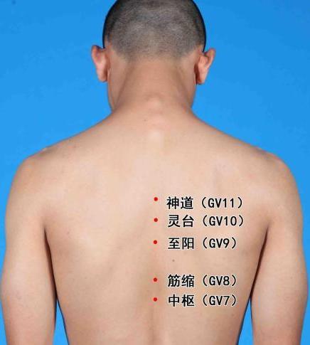 人体穴位大全全身高清穴位图,全身最重要的74个穴位讲解附图