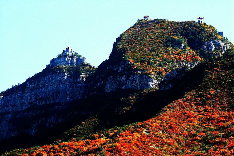 秋韵流过的晋城红