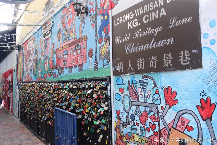 去兰卡威逗小鲨鱼，登嘉楼热浪岛浪一浪