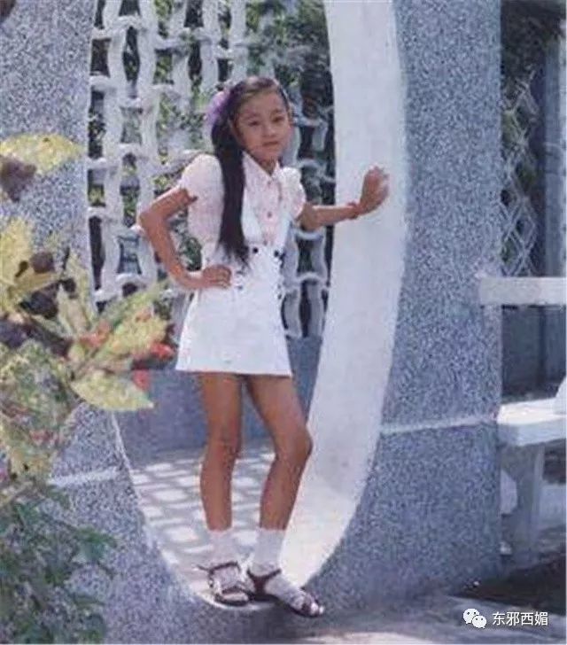 同框的袁泉气质太出挑,再次被袁泉的美惊艳到了