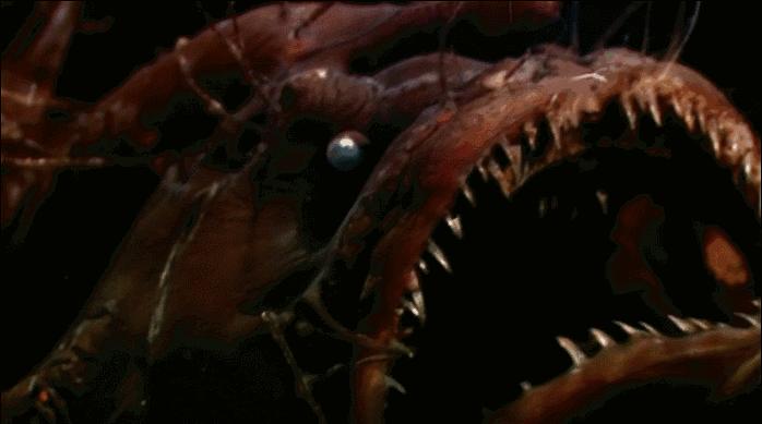 等了17年,等了你十七年