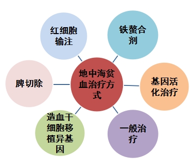 孕期地中海贫血症状和危害,地中海贫血怎样补充营养