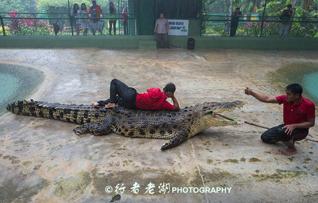 兰卡威汽车轮渡到兰卡威什么地方,兰卡威环岛攻略