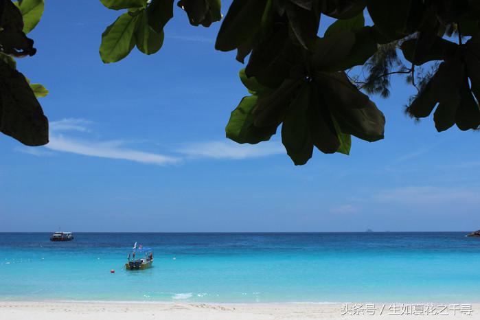 去兰卡威红树林,去兰卡威怎么玩