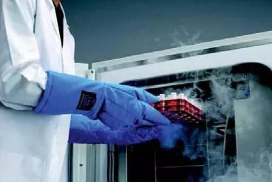 胎盘自体干细胞储存,胎盘自体干细胞存活