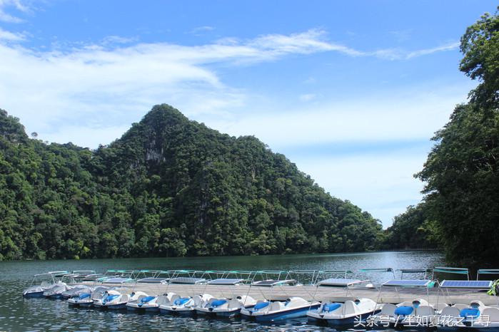 去兰卡威红树林,去兰卡威怎么玩