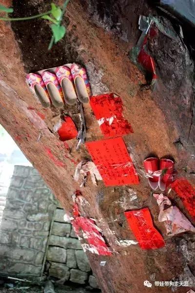 开着房车去遛娃,开着房车带狗狗出去玩