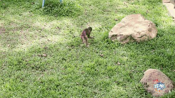 广州动物园的地图,广州动物园下一站去哪里