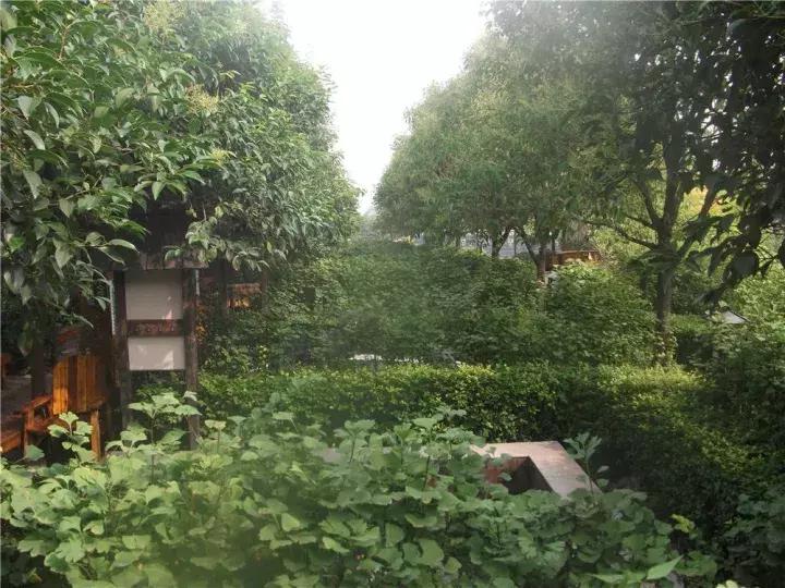 洛龙区银杏帝都温泉地址,洛阳银杏帝都温泉