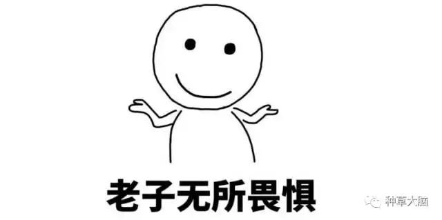 超市购物好物平价推荐,超市都有的好物日用品