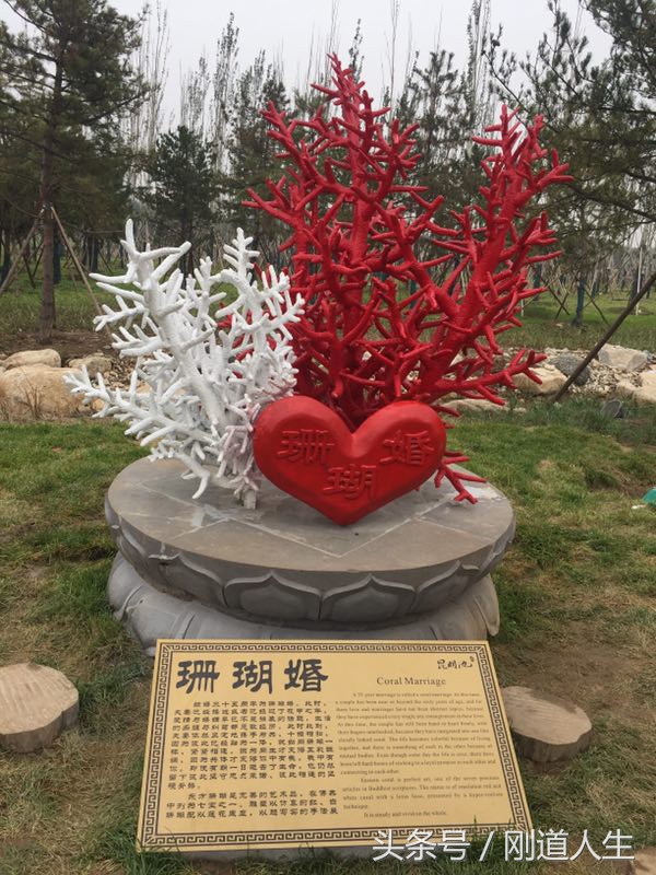 终于集齐了结婚周年的美称，我是水晶婚，你呢