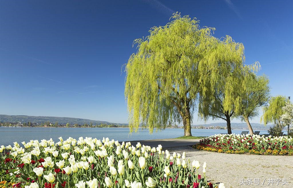 静功导引|《服气精义论》九篇,接地气的修习法,看了就能做