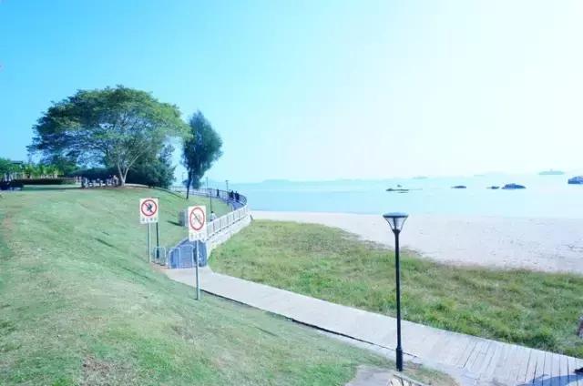 去厦门旅游自由行攻略图,超级详细厦门旅游攻略