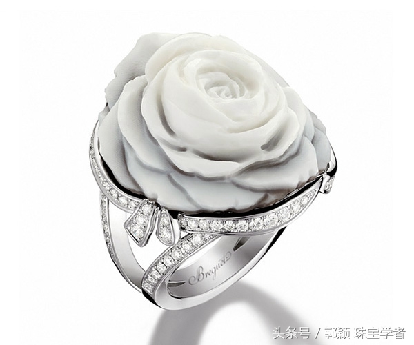 娴锋磱閲岀殑鍚勭缇庡懗铻冭煿,灏忕簿鐏靛悆铻冭煿