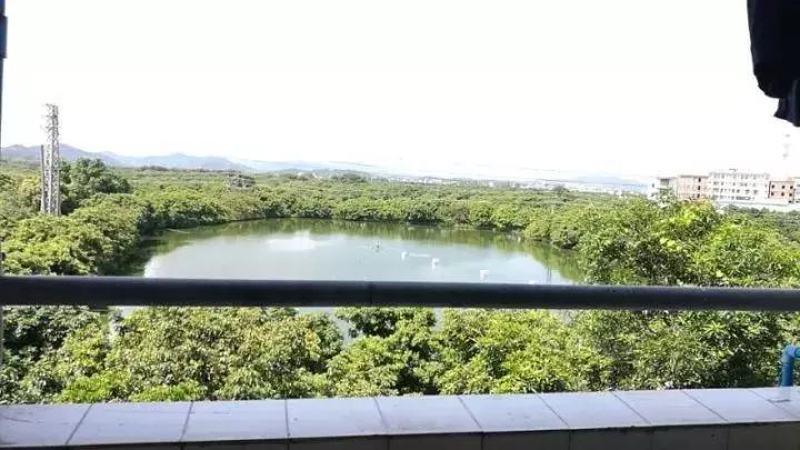 广州最美中学评选NO.10，你的母校排第几？