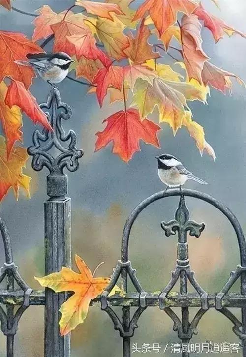 绝美秋天古诗词句子大全,关于秋天的美文和古诗词