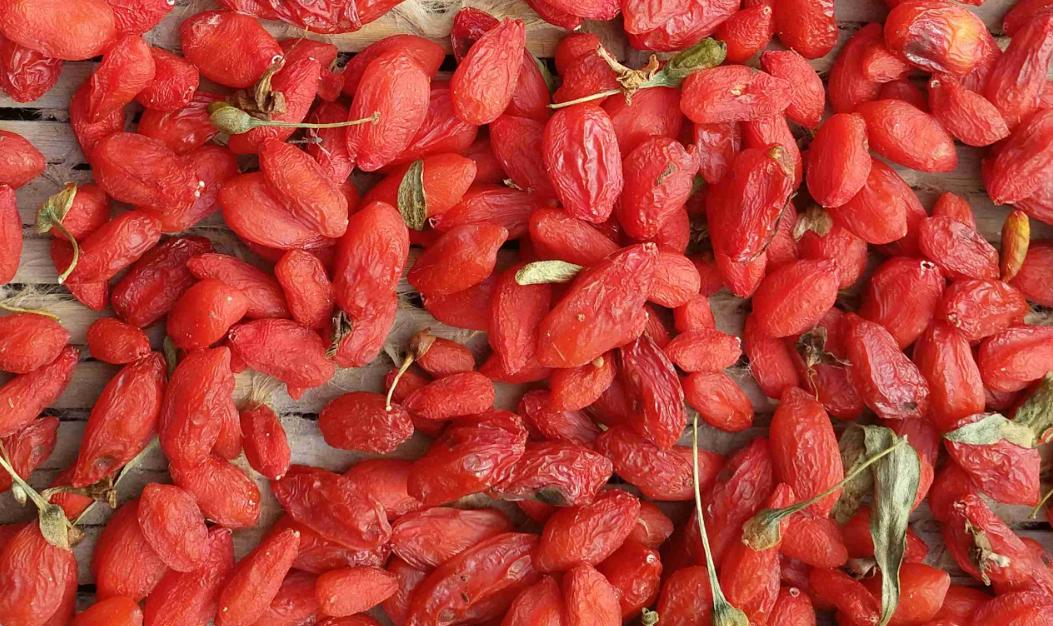 家里枸杞洗了怎么快速烘干,家里种的枸杞怎么处理才能泡水喝