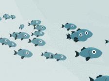 婴儿dha藻油会受日本影响吗,幼儿dha藻油种类