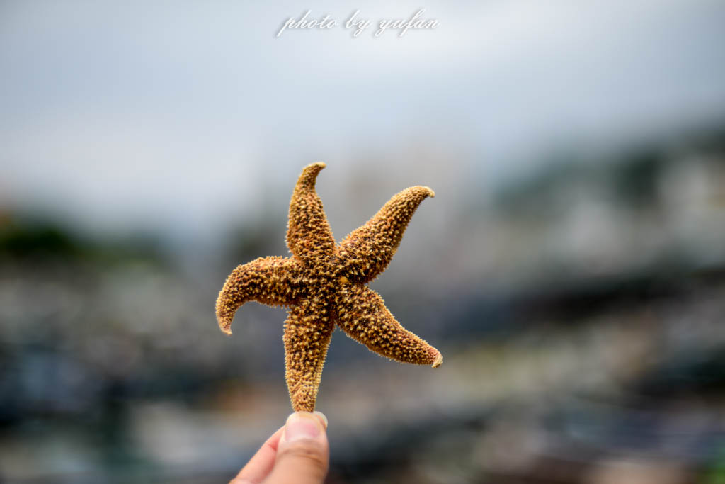 大亚湾沃尔玛吃喝玩乐,惠州大亚湾吃喝玩乐攻略