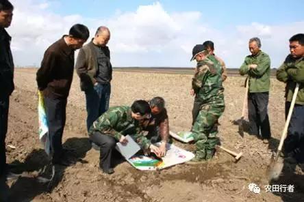 vc可以调节土壤酸碱吗,调节土壤酸碱平衡的最佳方法