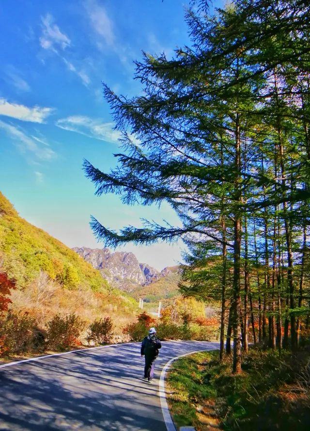 新鲜出炉~赏枫HOT！百名摄影家齐聚庄河天门山