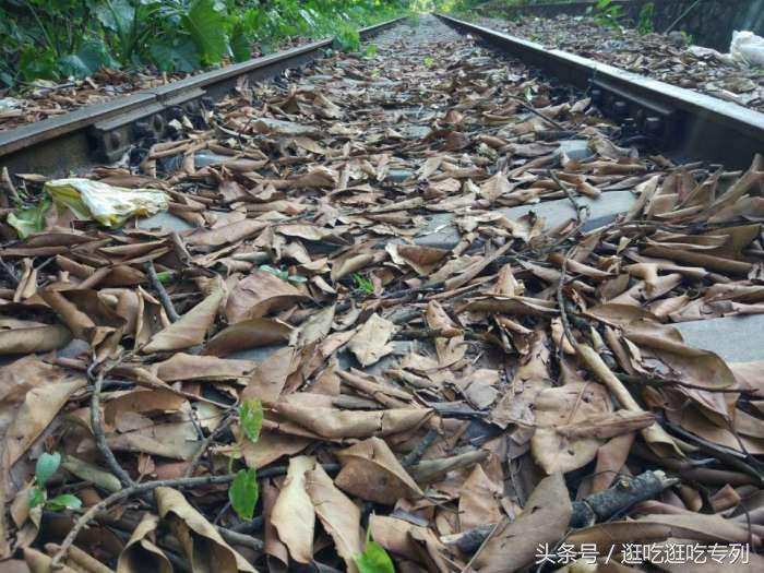 广州火车站的那些回忆,广州旧珠江桥铁路桥