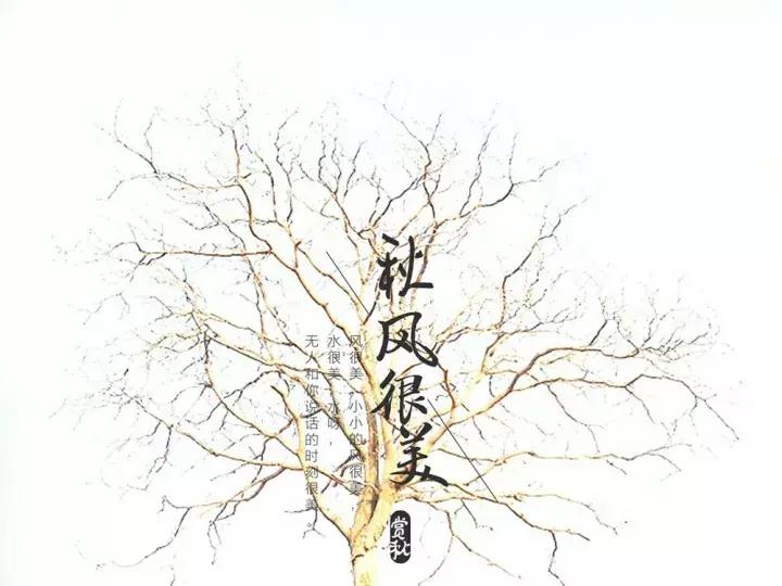 照片如何修出高级感,简约照片如何修