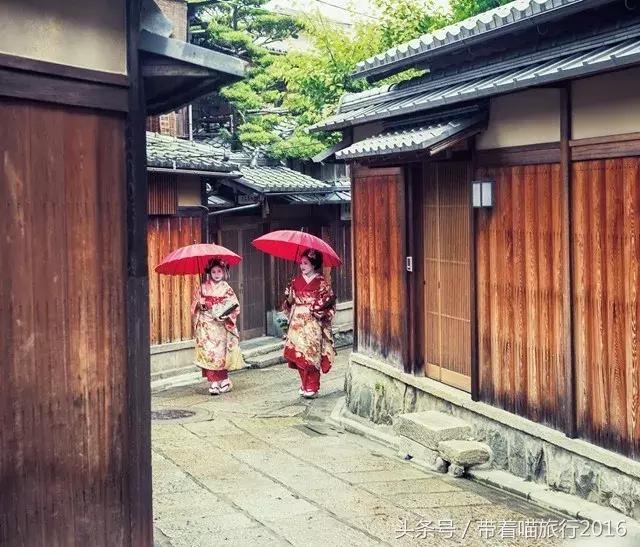 在日本最美的地方生活,在日本无拘无束做自己